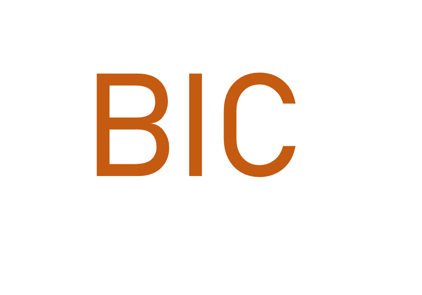 BIC Audit and Accounting